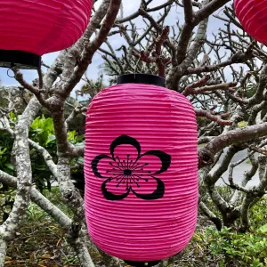 CLEARANCE SALE - Pink Sakura Blossom Japanese Lantern (24cm x 50cm) Vinyl