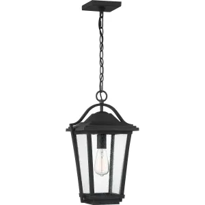 Darius 1-Light Outdoor Lantern in Earth Black