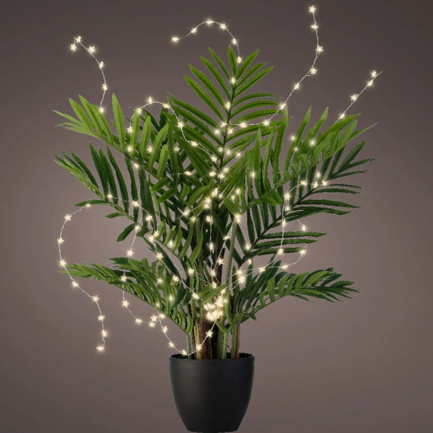 Lumineo 80cm Warm White Micro LED Star Wire Sting Lights for Plants