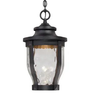 Merrimack 10 in. LED Outdoor Hanging Lantern Black finish